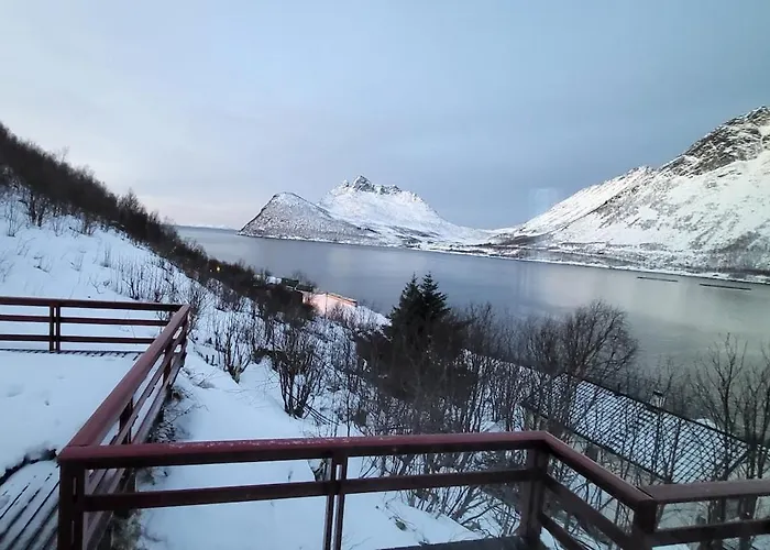 Semesterbostad Rifi House Senja